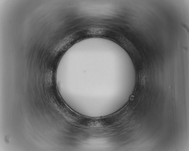 X0000103170735200809051721