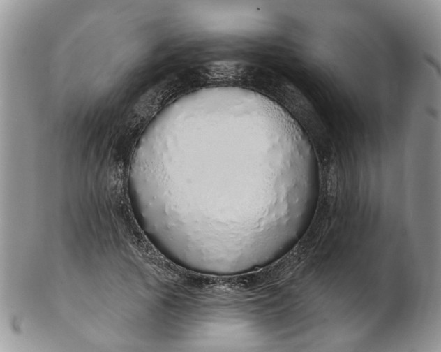 X0000103170737200809051721