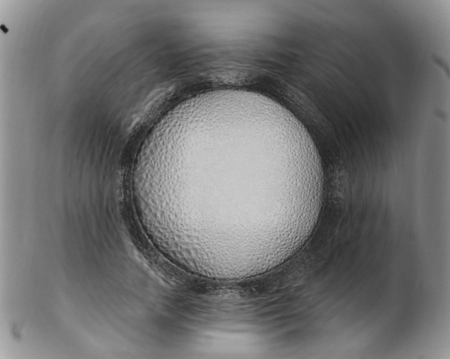 X0000103170738200809051721