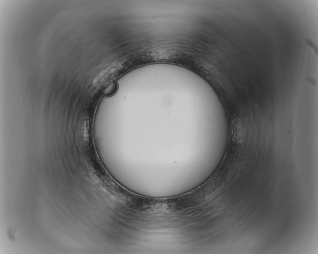 X0000103170740200809051721