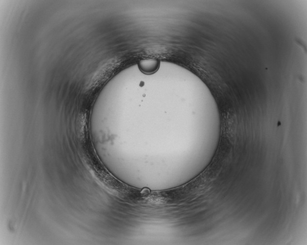 X0000103170742200809051721