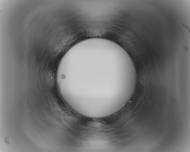 X0000103170743200809051721