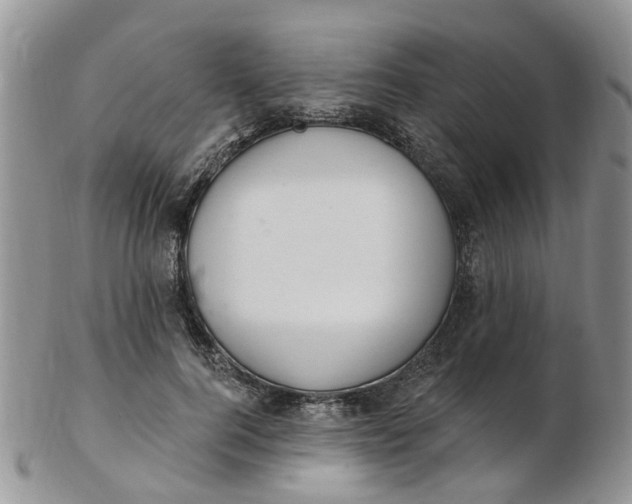 X0000103170744200809051721