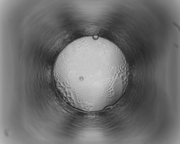 X0000103170745200809051721