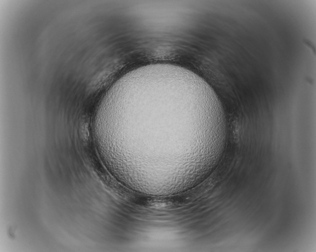 X0000103170746200809051721