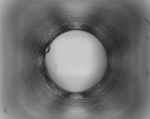 X0000103170747200809051721