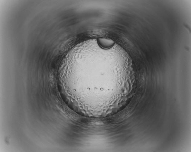 X0000103170749200809051721