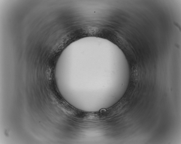 X0000103170750200809051721