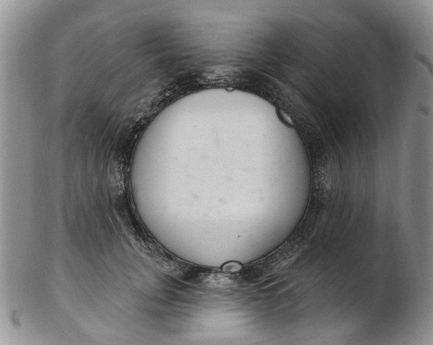 X0000103170751200809051721