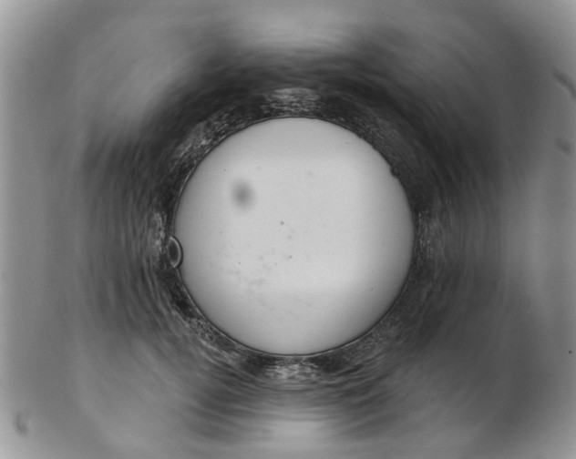 X0000103170752200809051721