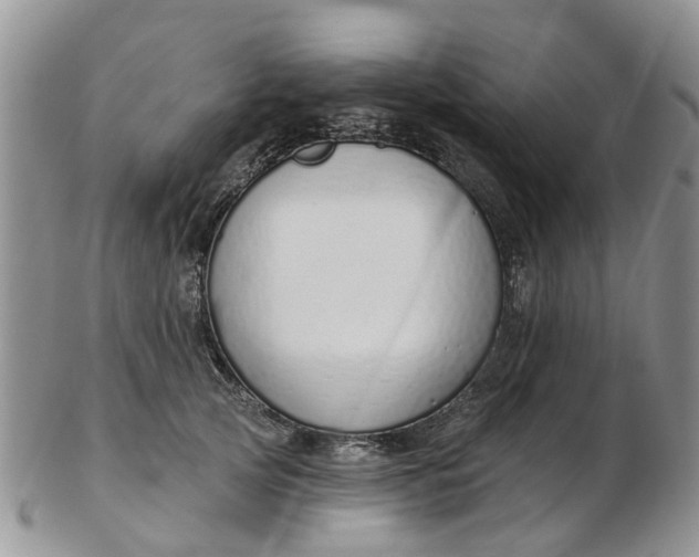 X0000103170753200809051721