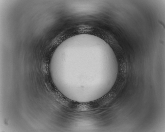 X0000103170755200809051721