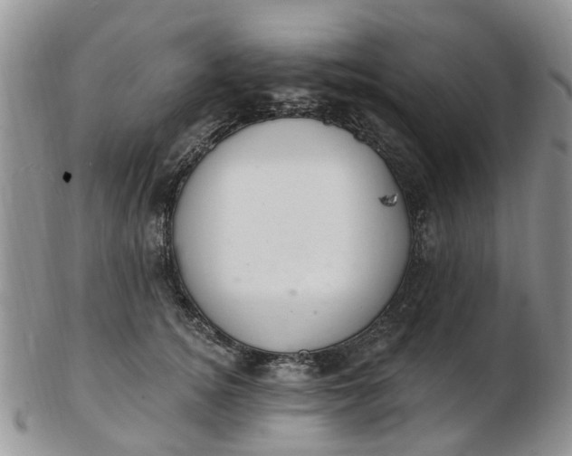 X0000103170756200809051721