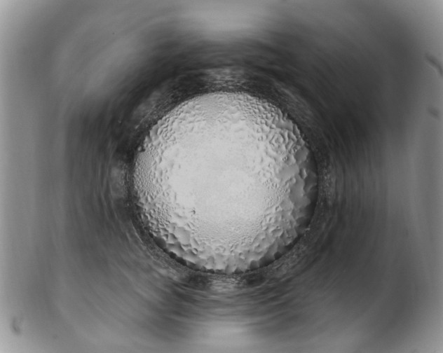 X0000103170757200809051721