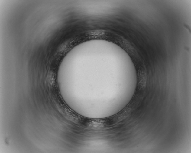 X0000103170758200809051721