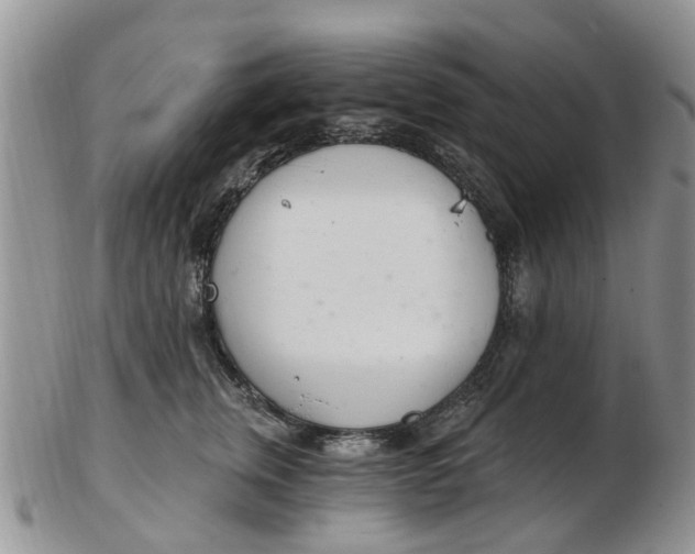 X0000103170759200809051721