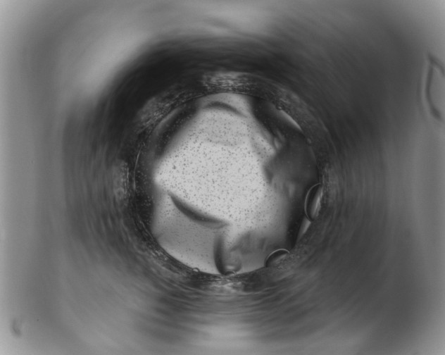 X0000103170760200809051721