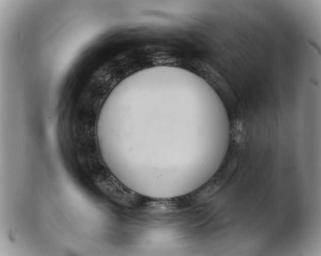 X0000103170763200809051721