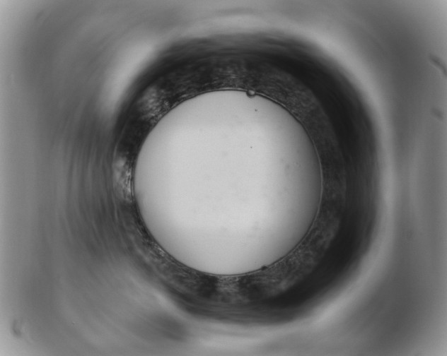 X0000103170766200809051722