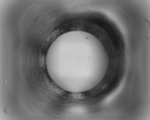 X0000103170767200809051722