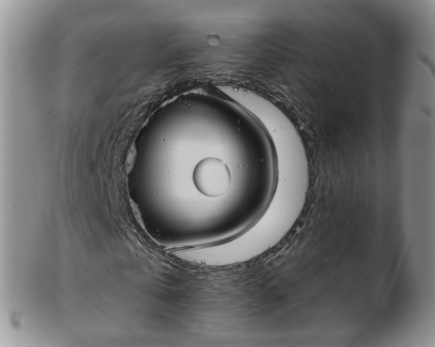 X0000103170769200809051721