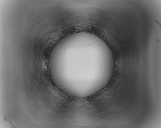 X0000103170770200809051721