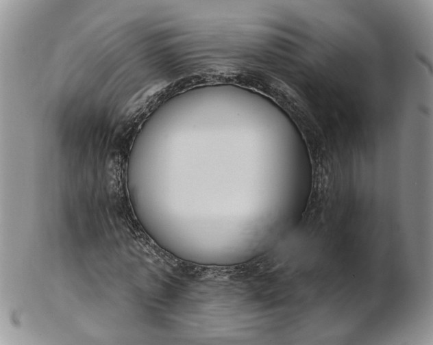 X0000103170773200809051721