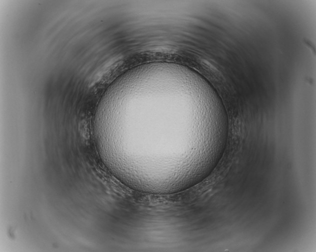 X0000103170774200809051721