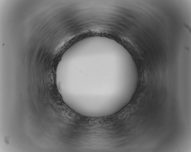 X0000103170776200809051721