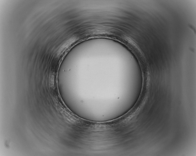 X0000103170777200809051721