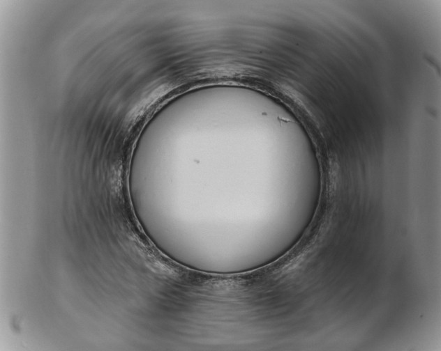 X0000103170778200809051721