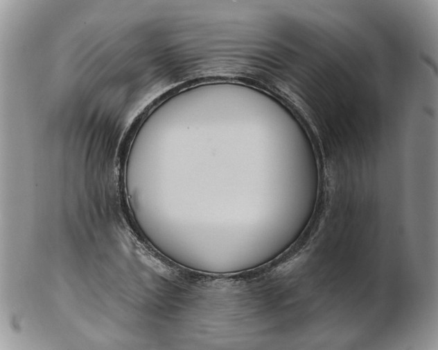 X0000103170779200809051721