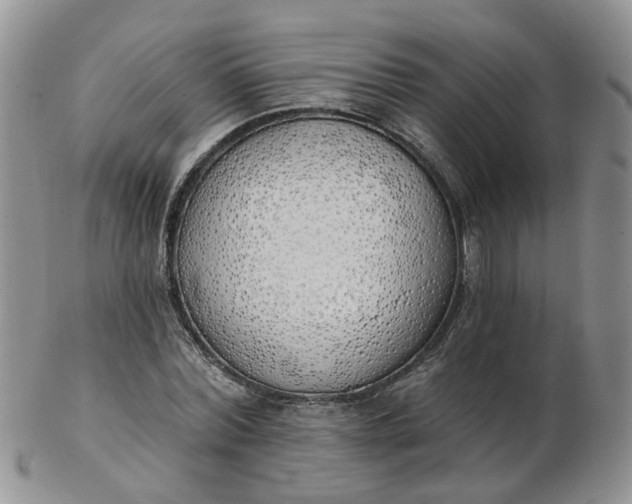 X0000103170780200809051721