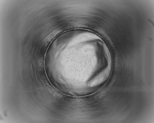 X0000103170785200809051721