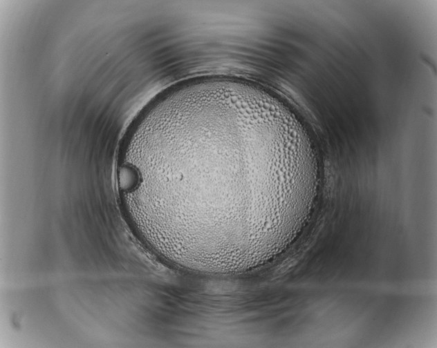 X0000103170788200809051721