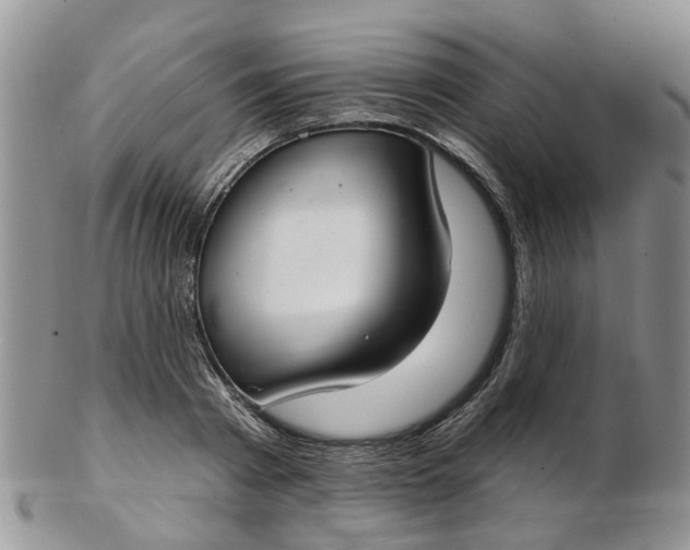 X0000103170793200809051721