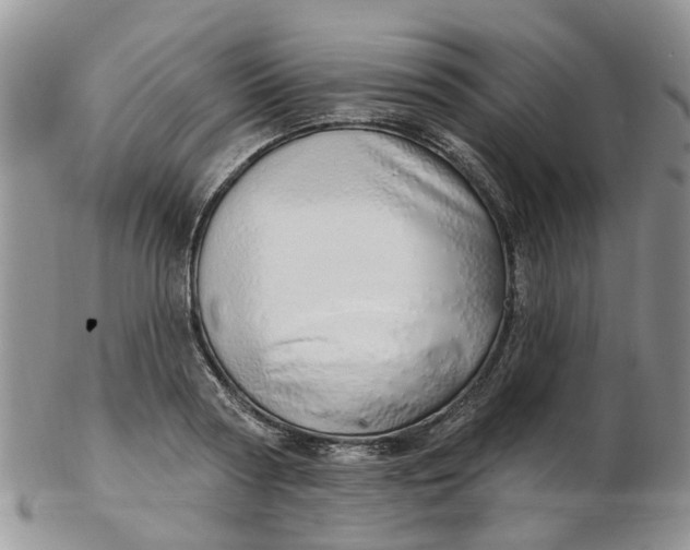 X0000103170794200809051721