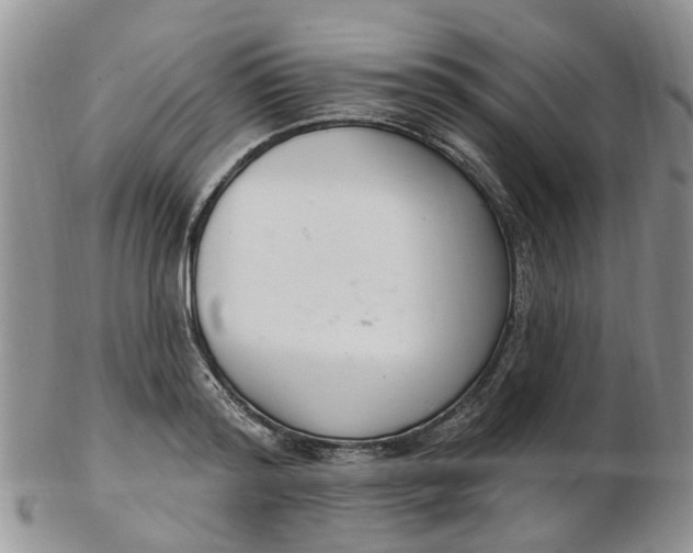 X0000103170796200809051721