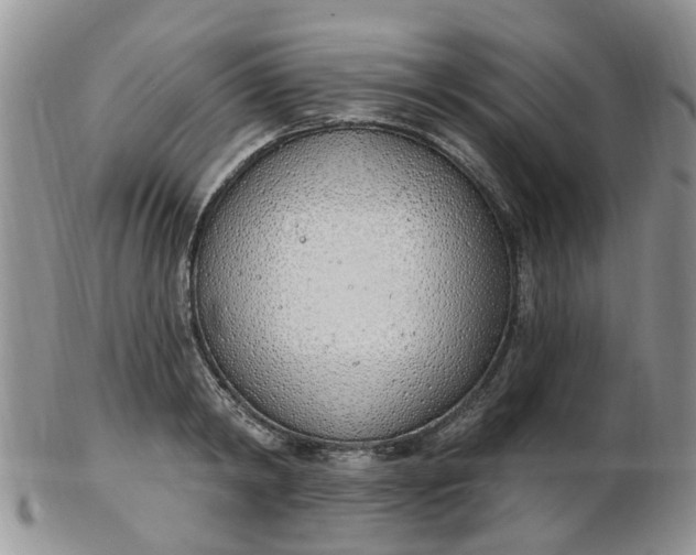 X0000103170798200809051720