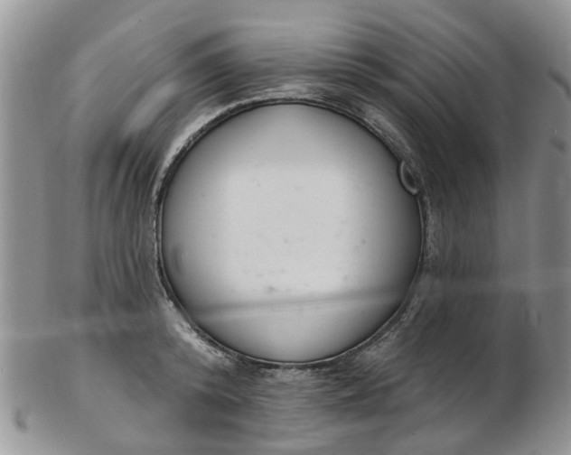 X0000103170800200809051720