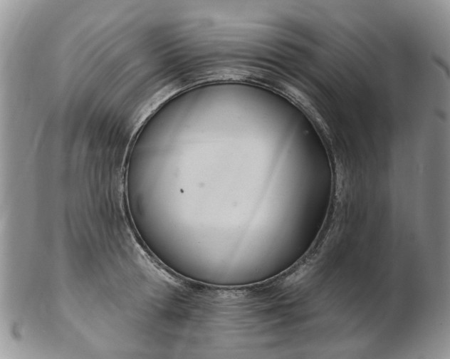 X0000103170802200809051720