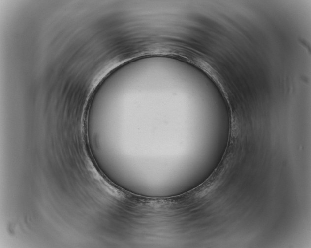 X0000103170803200809051720