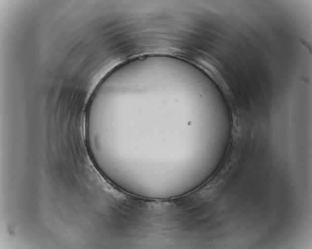 X0000103170804200809051720