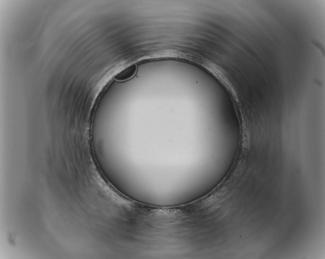 X0000103170805200809051720