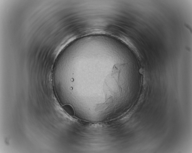 X0000103170806200809051720