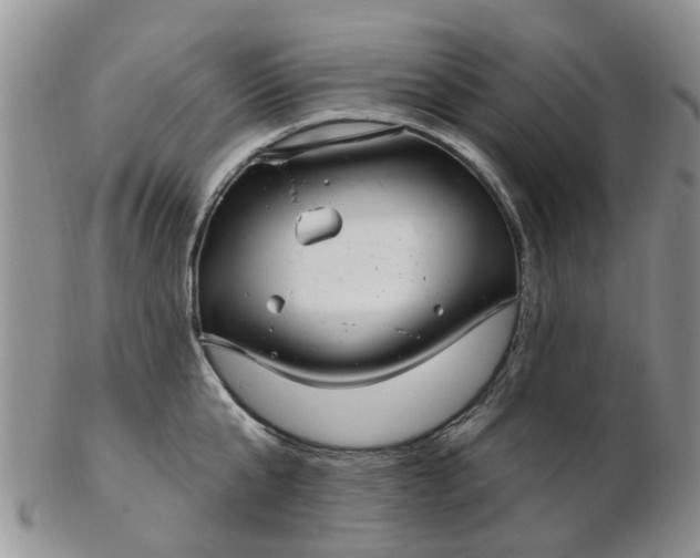 X0000103170807200809051720