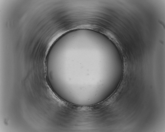 X0000103170808200809051720