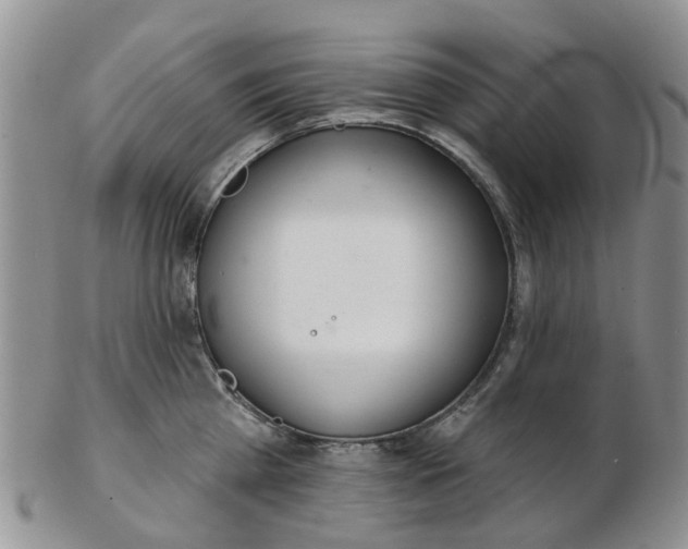 X0000103170809200809051720