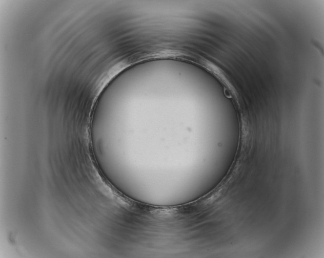 X0000103170810200809051720