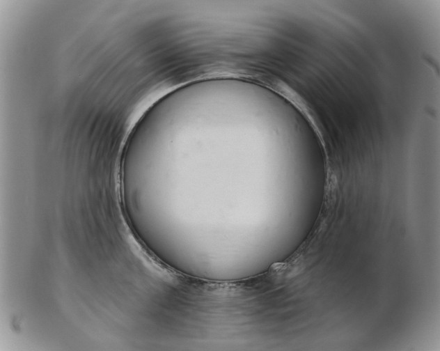 X0000103170811200809051720